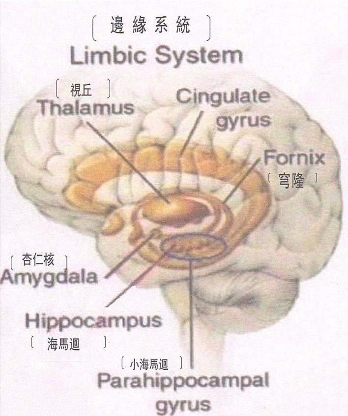 图形2.jpg